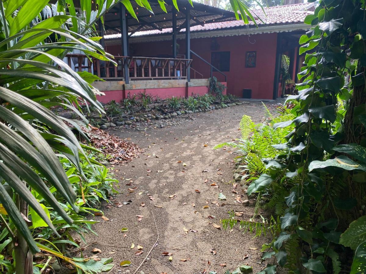 Hotel Casa Vito Beachfront Puerto Viejo de Talamanca Bagian luar foto