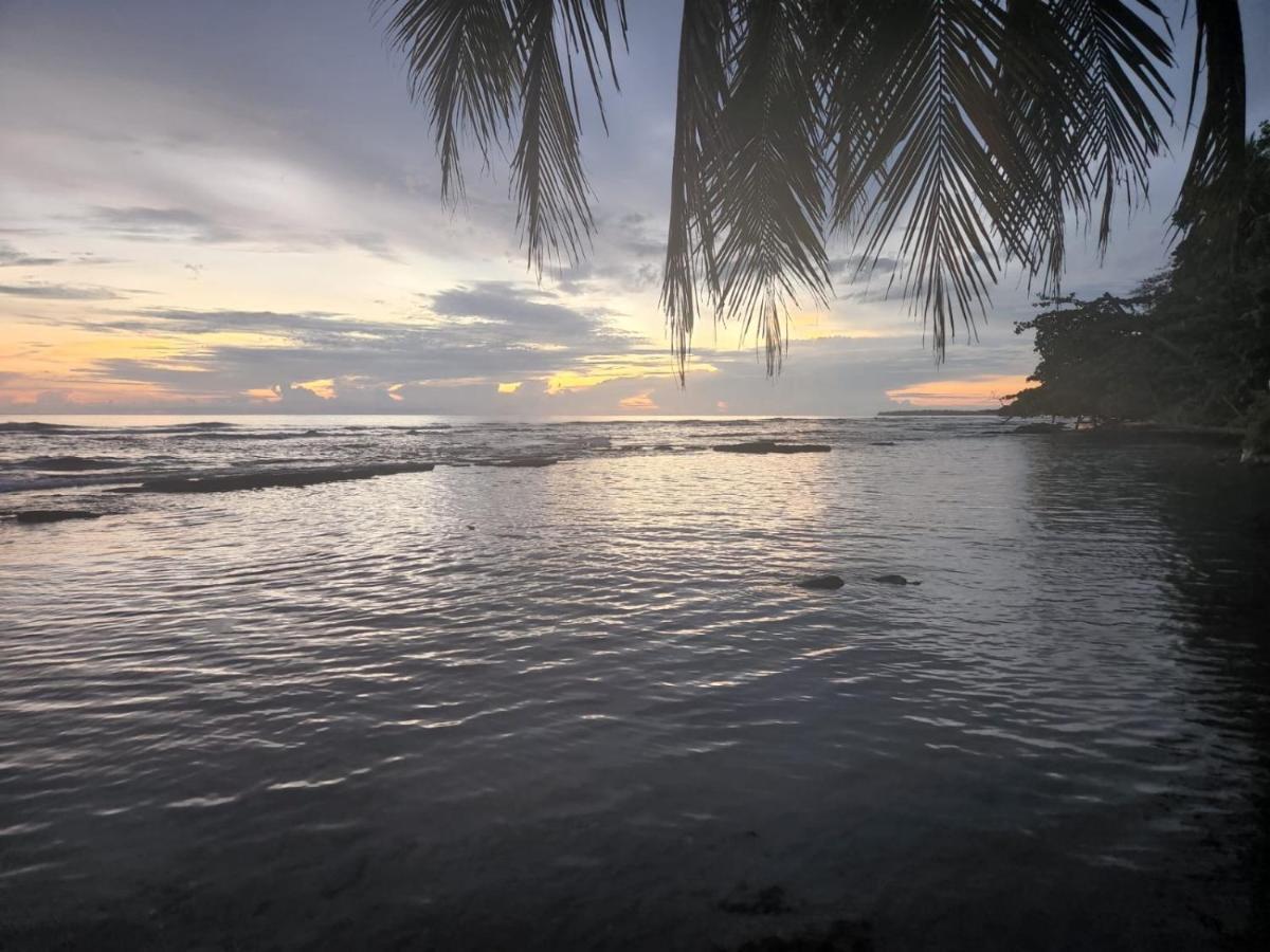 Hotel Casa Vito Beachfront Puerto Viejo de Talamanca Bagian luar foto