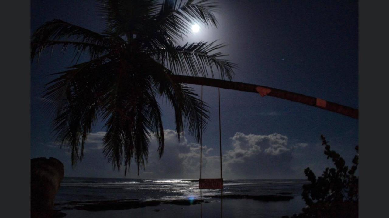 Hotel Casa Vito Beachfront Puerto Viejo de Talamanca Bagian luar foto