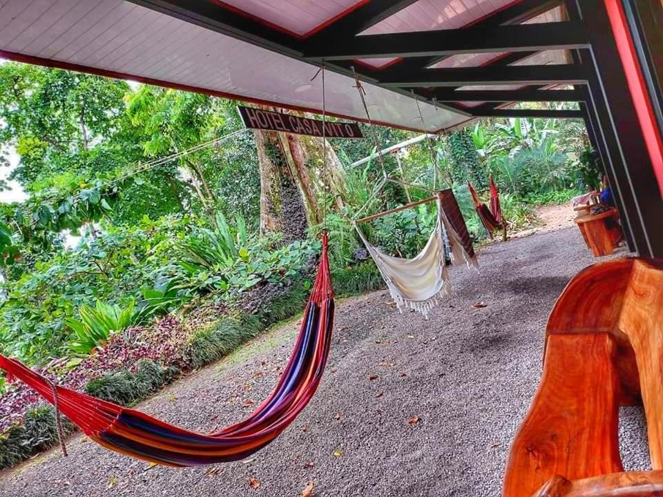 Hotel Casa Vito Beachfront Puerto Viejo de Talamanca Bagian luar foto